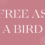 The Long Road from Legalism to Grace Part III: Free as a Bird